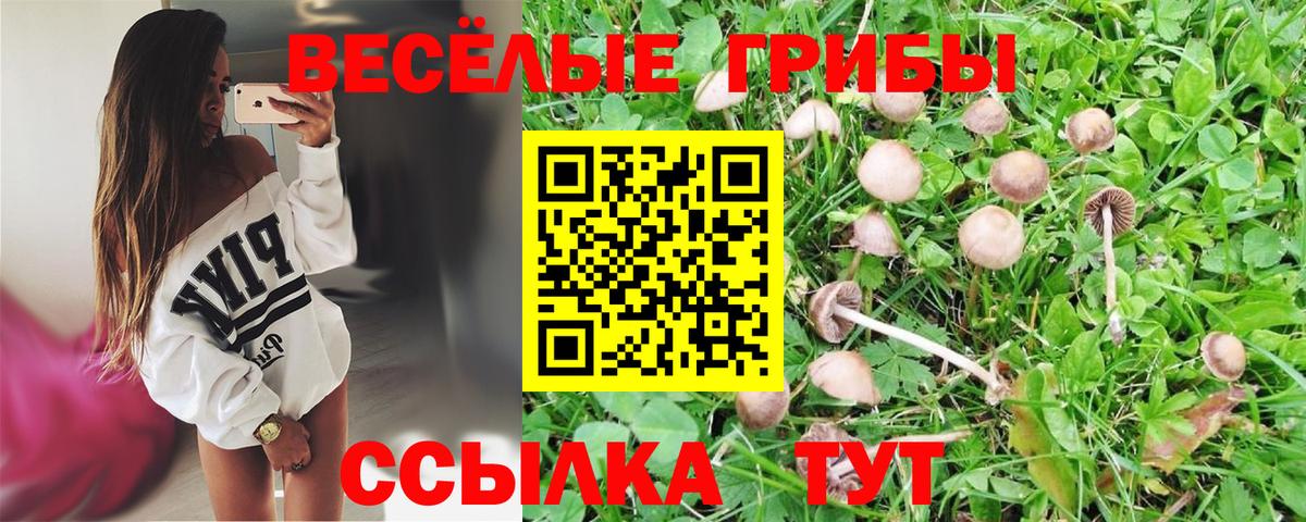 Псилоцибиновые грибы Psilocybine cubensis  Псилоцибиновые грибы ЛСД  Вход с VPN  Гулькевичи 